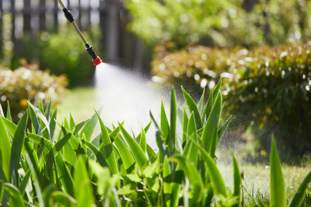 24/7 Emergency Wasp Removal experts in Bonneauville, PA