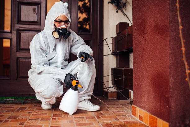 Reliable Wasp Removal contractor in Bonneauville, PA by Show Me Pest Control